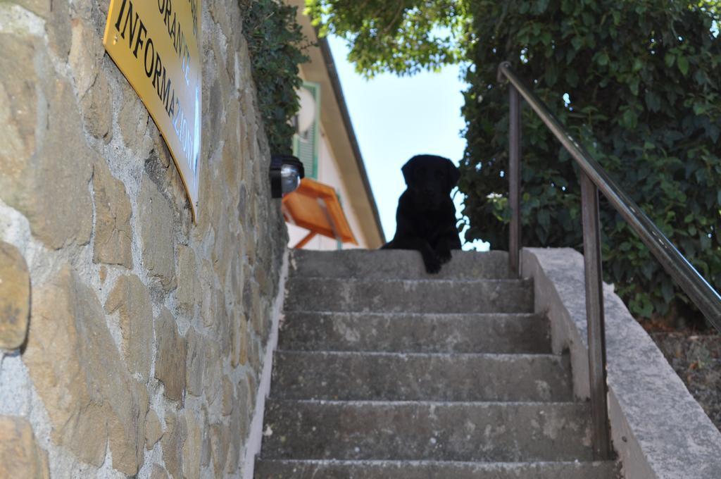 Agriturismo Il Cerrosughero Scarlino Exterior foto