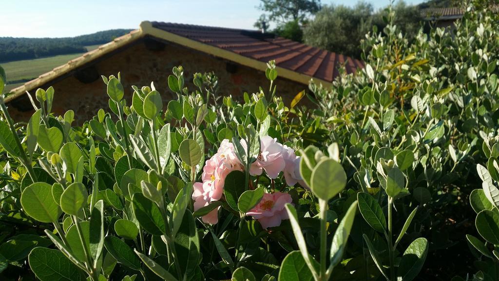 Agriturismo Il Cerrosughero Scarlino Exterior foto